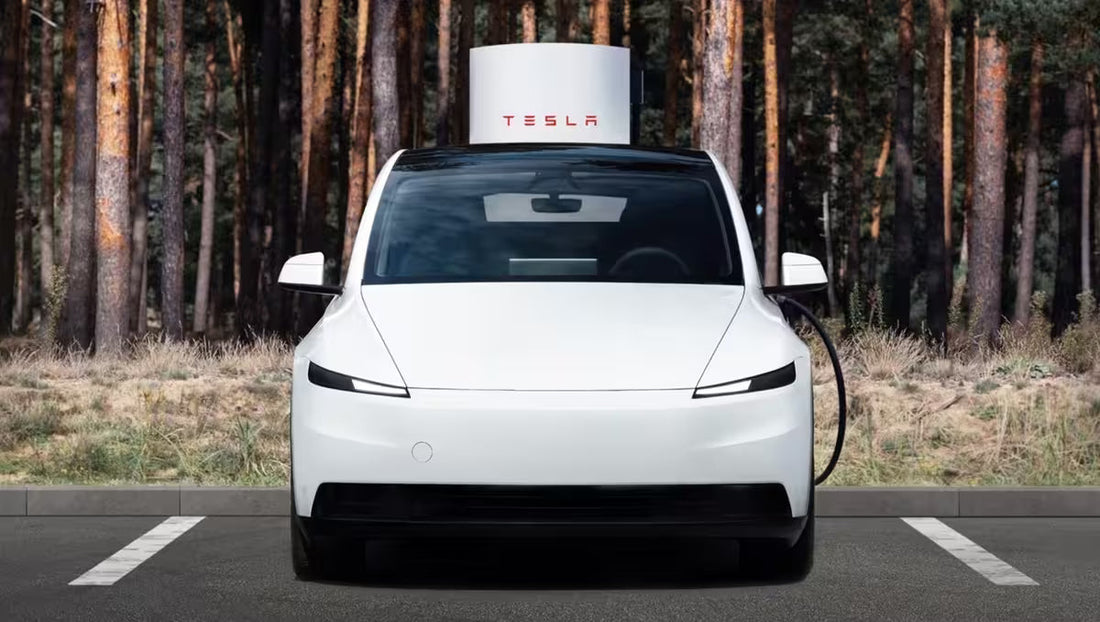 Model Y Standard : pourquoi Tesla conserve un toit vitré… mais masqué