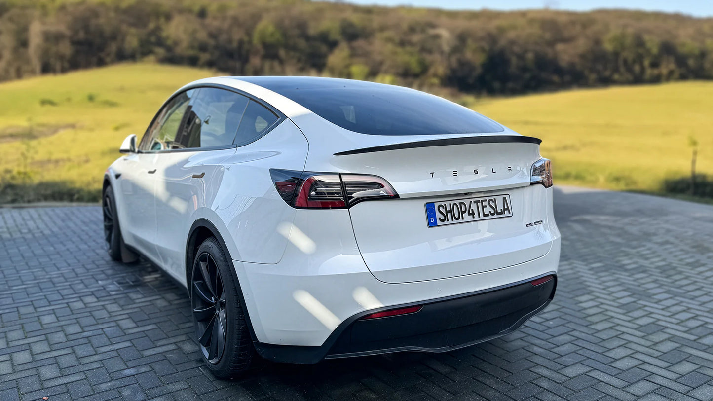 Logo Tesla en lettres