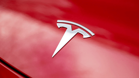 Logo Tesla noir mat